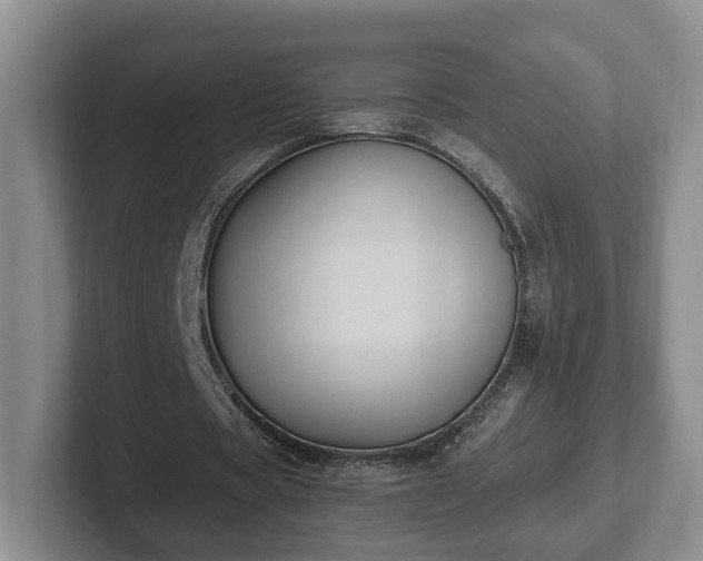 X0000102390529200808081229