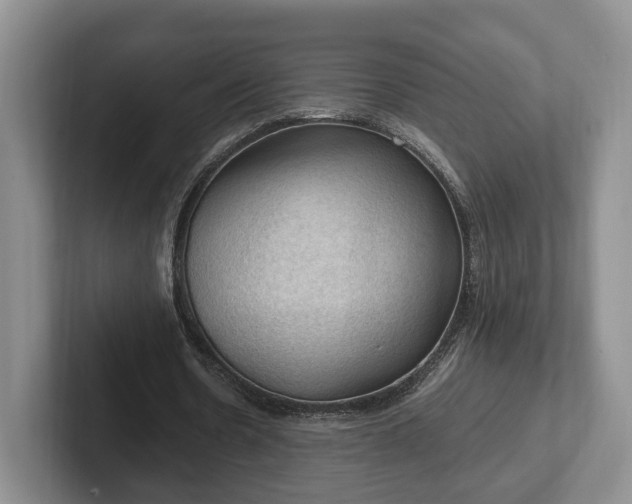 X0000102390530200808081229