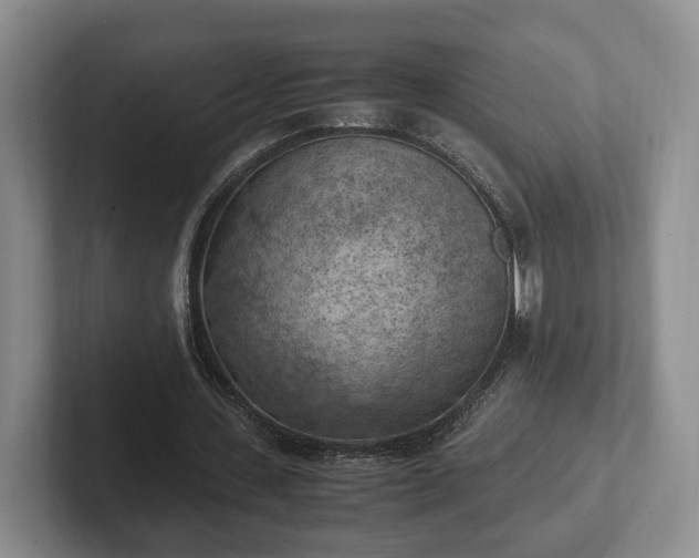 X0000102390531200808081229