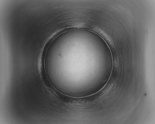 X0000102390532200808081229