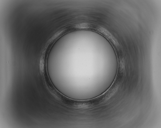 X0000102390533200808081229