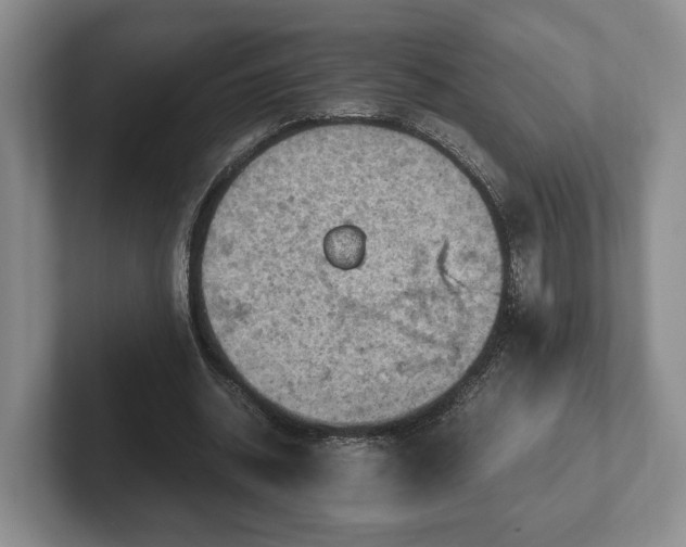 X0000102390534200808081229