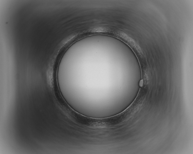 X0000102390535200808081229