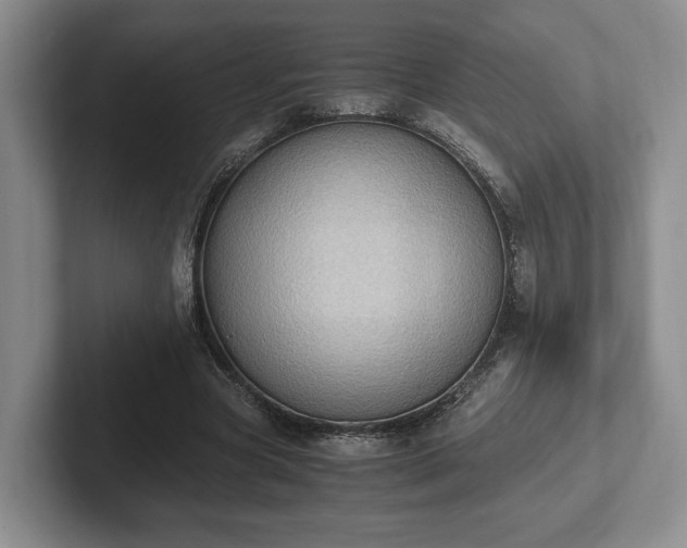 X0000102390537200808081229