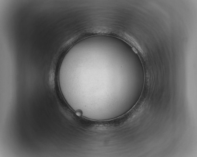 X0000102390538200808081229