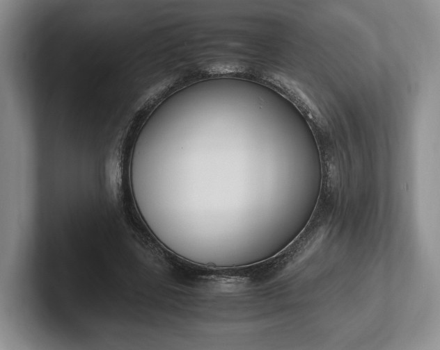 X0000102390539200808081229