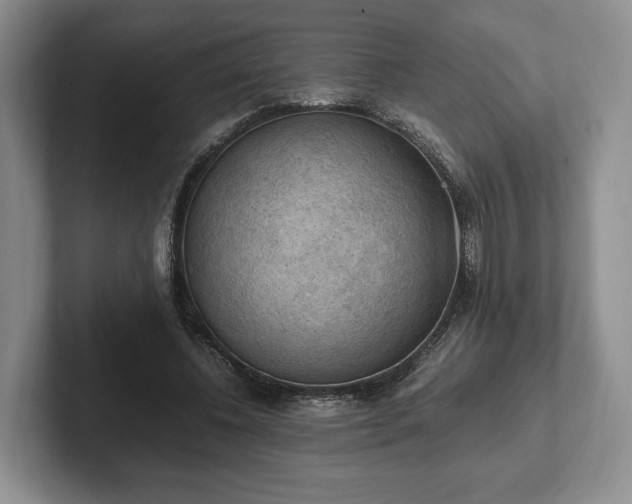 X0000102390540200808081229