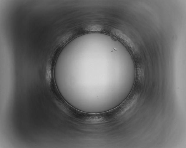 X0000102390541200808081229