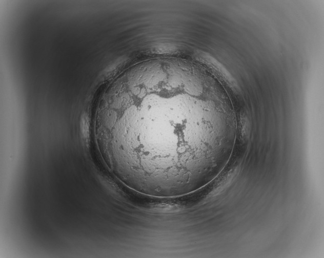 X0000102390542200808081229