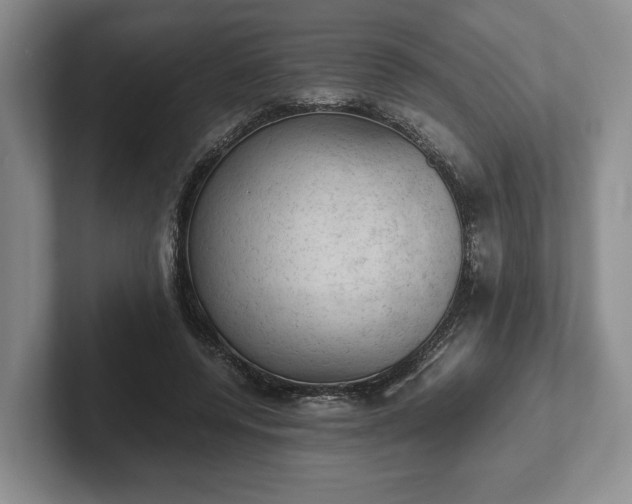 X0000102390544200808081229