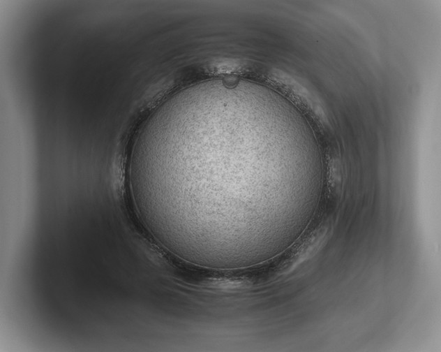 X0000102390545200808081229