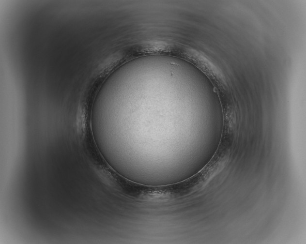 X0000102390546200808081229