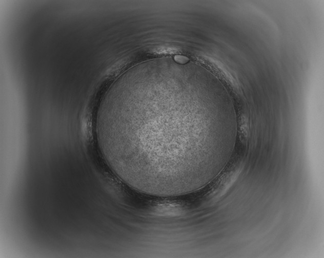 X0000102390547200808081229