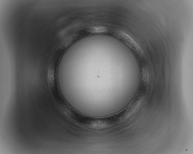 X0000102390549200808081229