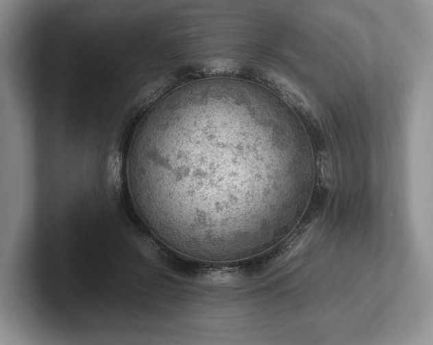 X0000102390550200808081230