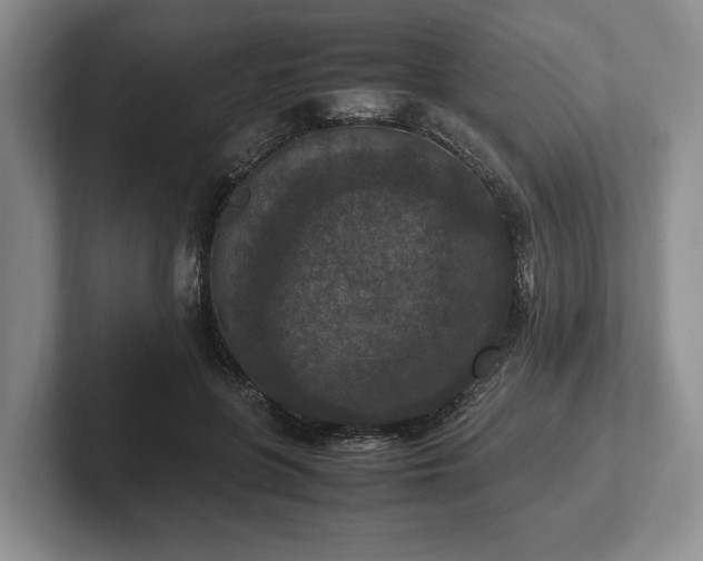 X0000102390551200808081230