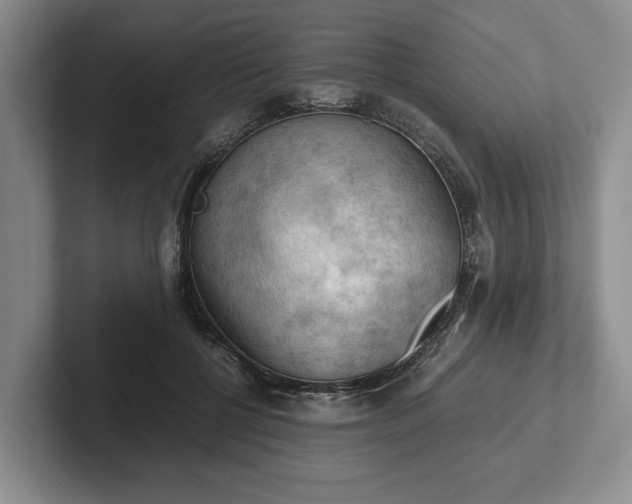 X0000102390552200808081230