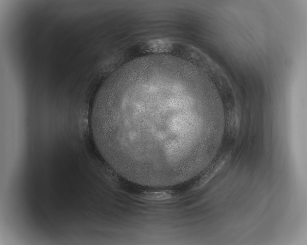 X0000102390553200808081230