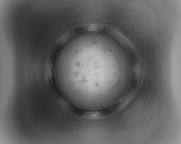 X0000102390554200808081230