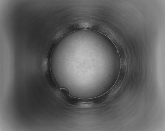 X0000102390556200808081230