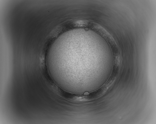 X0000102390557200808081230