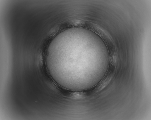 X0000102390558200808081230