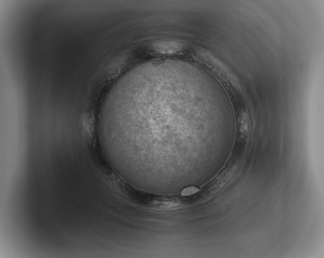 X0000102390559200808081230