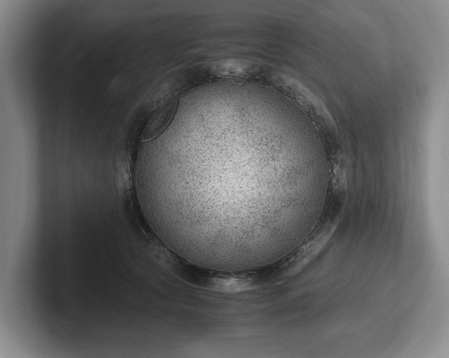 X0000102390561200808081230