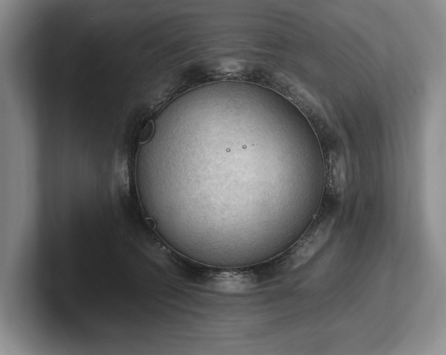 X0000102390562200808081230