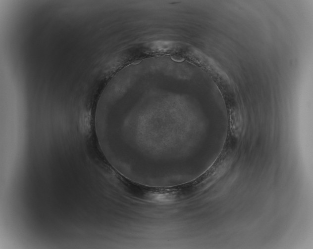 X0000102390563200808081230