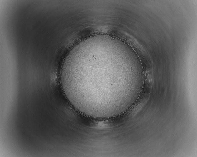 X0000102390564200808081230