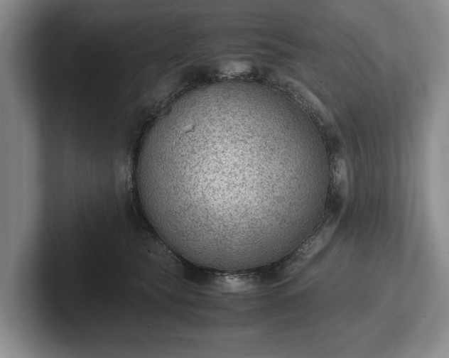 X0000102390565200808081230