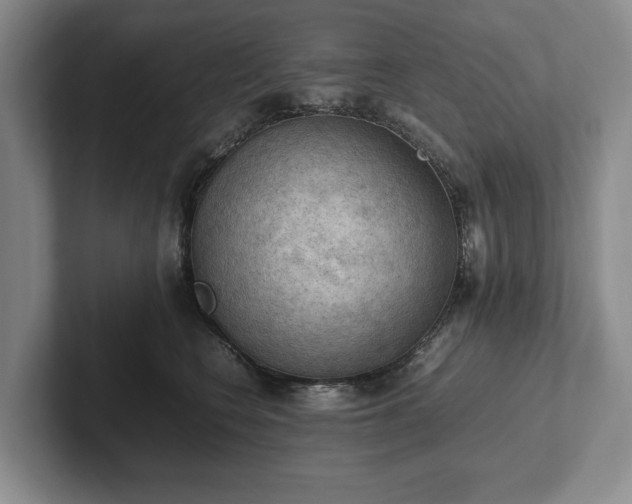 X0000102390566200808081230