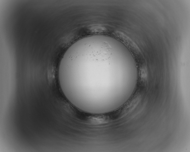 X0000102390567200808081230