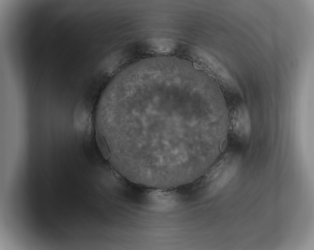 X0000102390568200808081230