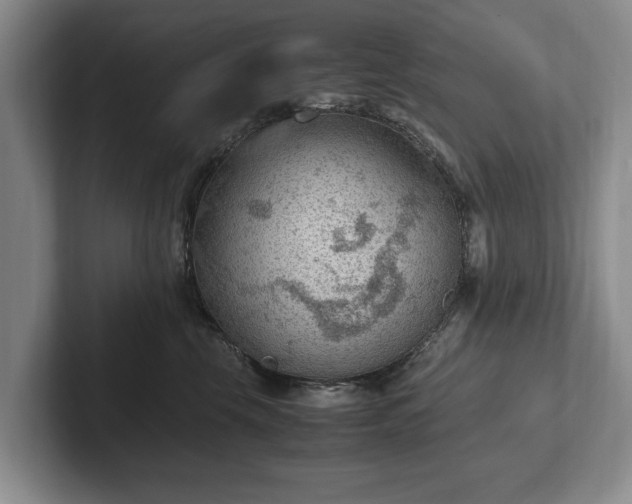 X0000102390569200808081230