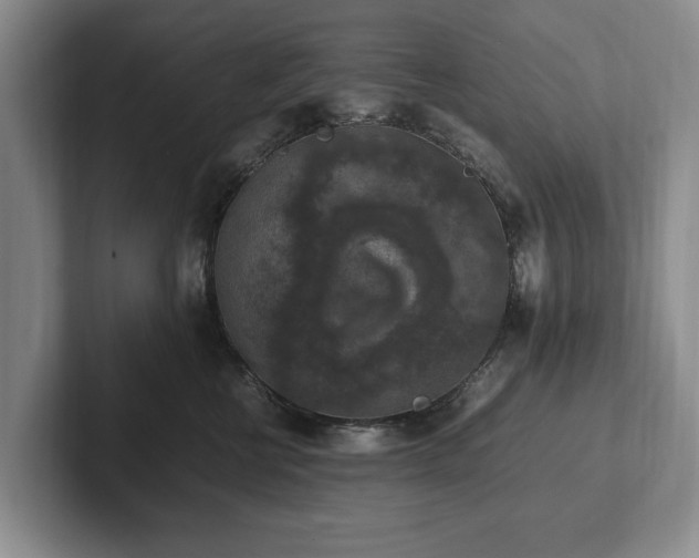 X0000102390570200808081230