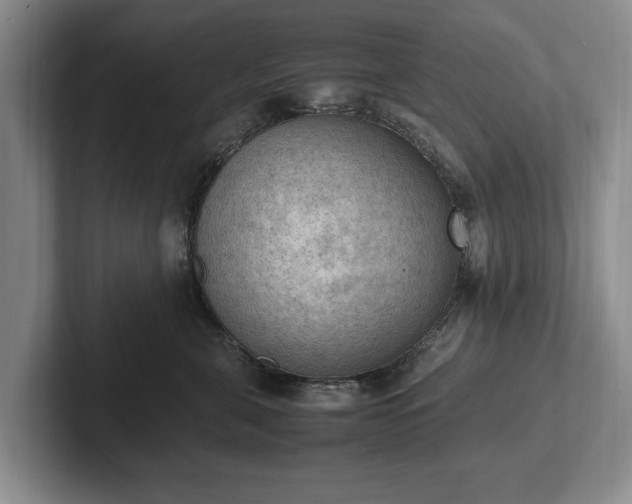 X0000102390571200808081230