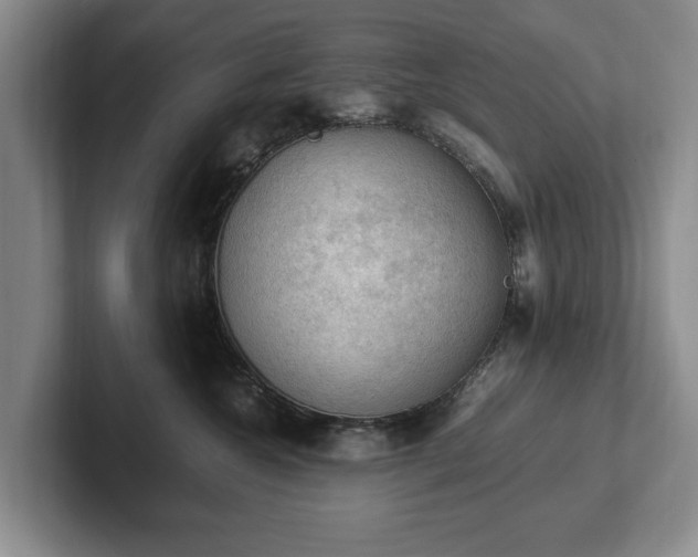 X0000102390572200808081230