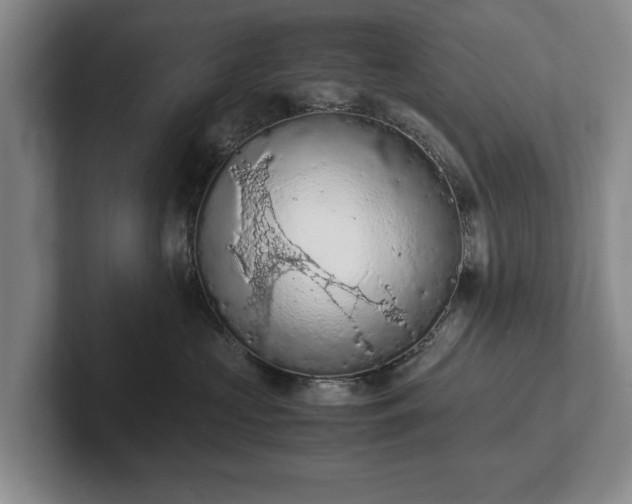 X0000102390573200808081230