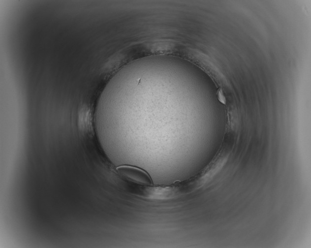 X0000102390575200808081230