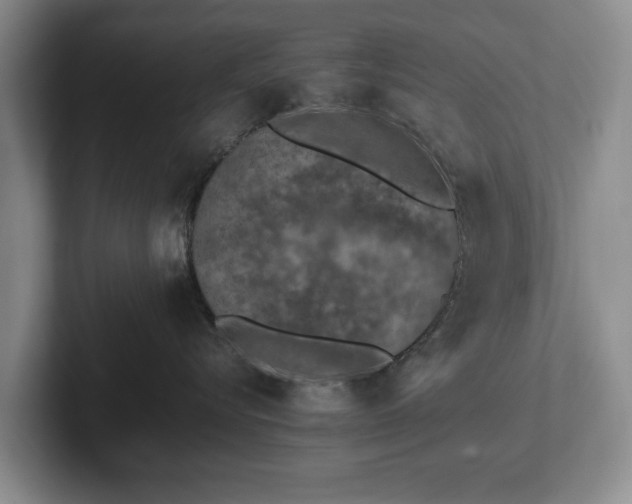 X0000102390576200808081230