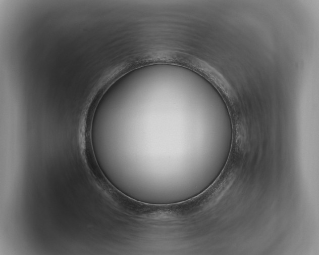 X0000102390578200808081229