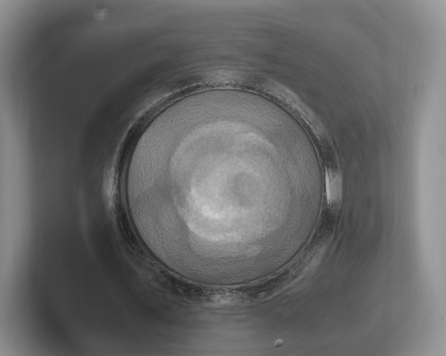 X0000102390579200808081229