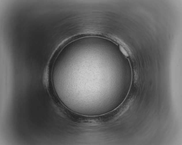 X0000102390580200808081229