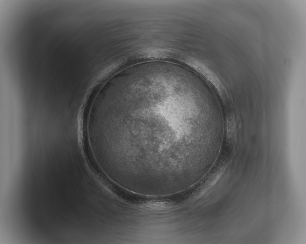 X0000102390581200808081229