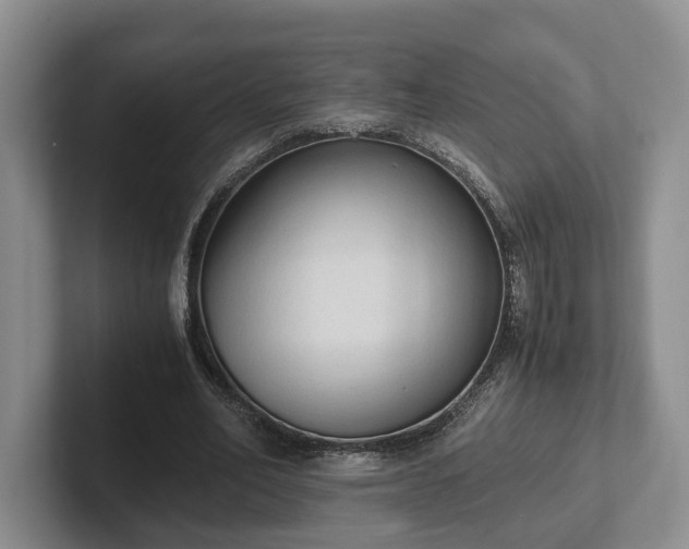 X0000102390582200808081229