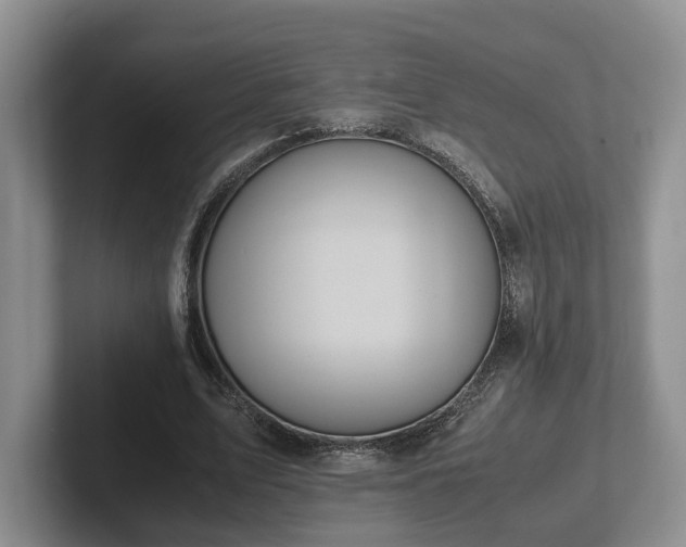 X0000102390583200808081229