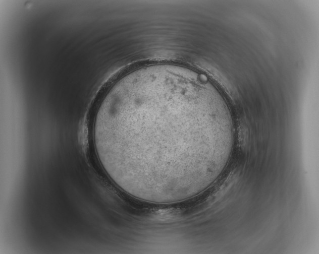 X0000102390584200808081229