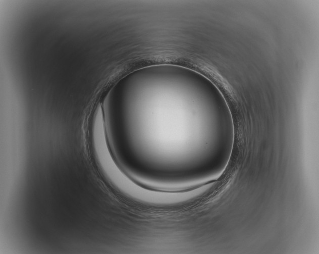 X0000102390585200808081229